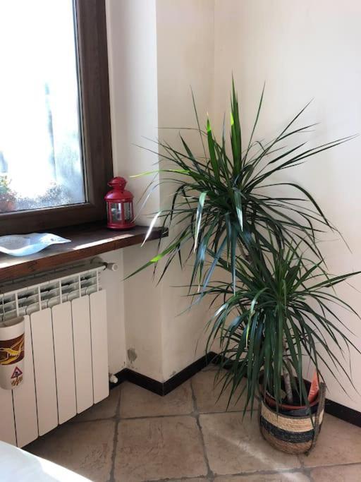 Ca' Cuore In Monferrato Serralunga di Crea Εξωτερικό φωτογραφία