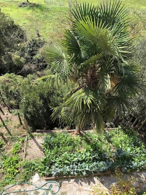 Ca' Cuore In Monferrato Serralunga di Crea Εξωτερικό φωτογραφία