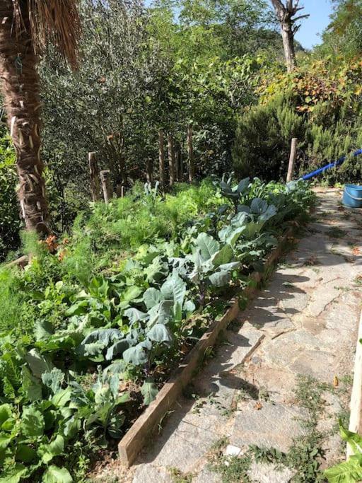 Ca' Cuore In Monferrato Serralunga di Crea Εξωτερικό φωτογραφία